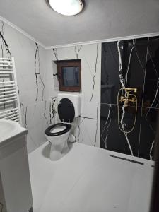 BudureasaCabana Cezar的一间带卫生间的浴室以及黑白墙壁