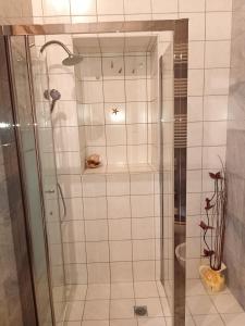 阿沃拉福多尔旅馆 的浴室里设有玻璃门淋浴