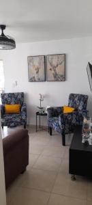 圣地亚哥洛斯卡巴Residencial Palmas De Gurabo的客厅配有两把椅子和一张沙发
