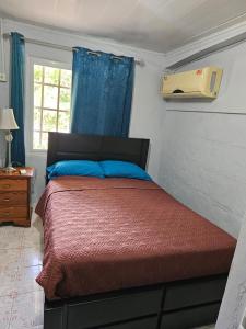 巴拿马城oasis with pool near Panama Canal的一间卧室配有一张带红色棉被的床和窗户。
