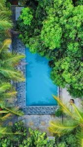 蒂瑟默哈拉默麦维里吉酒店的享有被树木环绕的游泳池的顶部景致