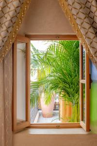 拉巴特Luxurious Riad Center Rabat Dar Al Jeld的植物间的一个窗户