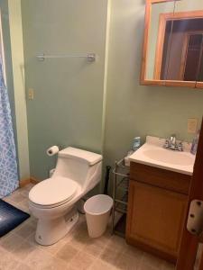 Mount NeboSummersville Lake Rd Cabin - Pet Friendly!的浴室配有白色卫生间和盥洗盆。