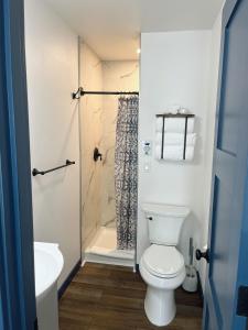 帕尔默Bugge Room 203, Hyland Hotel的一间带卫生间和淋浴的浴室