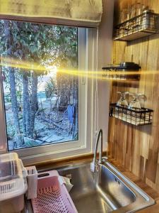 苏梅岛BRAND NEW Beachfront Tiny Home Oniro的厨房设有水槽和窗户。
