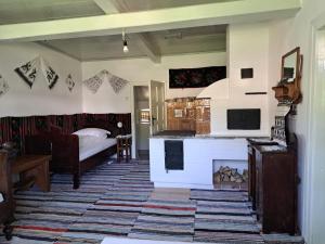 苏恰维塔Casa Felicia的客厅设有一张床和一个壁炉