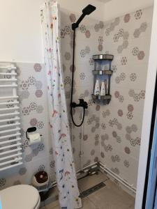 Stefana's Tiny House Nature Retreat的带淋浴帘和卫生间的浴室