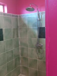 努库希瓦CHEZ ALIZHIA的带淋浴的浴室,配有粉红色的墙壁