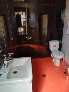 特罗扬Семеен хотел МАРС的一间带水槽和卫生间的浴室
