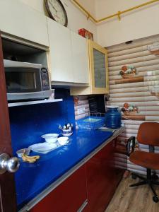新德里Homestay in Connaught Place的厨房配有蓝色台面和微波炉