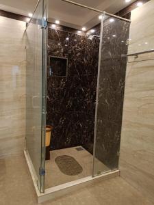 新德里Homestay in Connaught Place的浴室里设有玻璃门淋浴