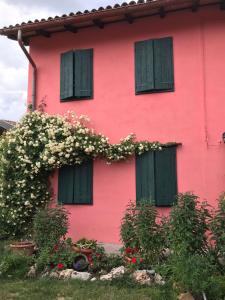 San Vito al TorreDIMORA IL CAMMINO的粉红色的房子,设有绿色的窗户和鲜花