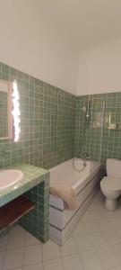 波克罗勒岛Le Clos des Galéjades的绿色瓷砖浴室设有浴缸和卫生间