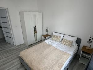 斯维诺乌伊希切Apartamenty Przy Deptaku的一间卧室配有一张大床和镜子