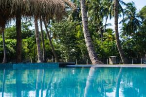 卡尔皮蒂耶Club Mango Resort的一座棕榈树环绕的游泳池