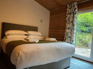 卡马森Pantglas Hall Holiday Lodges and Leisure Club的卧室配有带枕头的床铺和窗户。