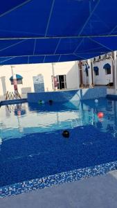 沙迦沙迦国际机场酒店的一个带蓝色伞和球的游泳池