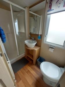 新米尔顿Seaside caravan Hoburne Naish Holiday Park Naish Common 83的一间带水槽、卫生间和淋浴的浴室