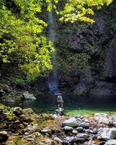 塞沙尔Nature Retreat - Laurel Forest的站在瀑布前的岩石上的人