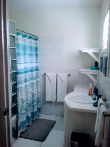 迪斯卡弗里贝BONI CHATEAU VACATION SPOT is a One Bedroom Self-contained Apartment For Travelers Needing To Be In Tune With Nature的带淋浴和盥洗盆的白色浴室