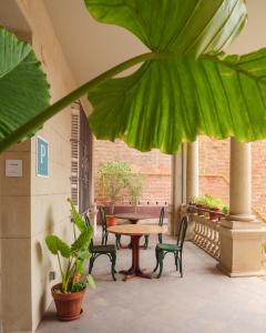 巴塞罗那Verdi 254的庭院配有桌椅和植物