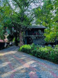 卡特勒格默Sriyantha Rest的树屋前的砖路
