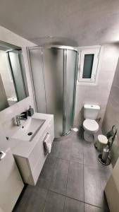 比雷埃夫斯Freatida apartment的带淋浴、卫生间和盥洗盆的浴室