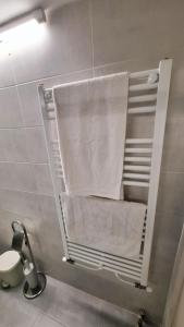 比雷埃夫斯Freatida apartment的浴室配有毛巾架和毛巾
