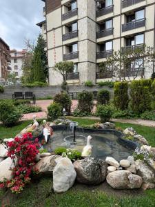 班斯科Alpine Lodge Bansko Apartments的一座花园,在一座建筑前的池塘里放鸭子