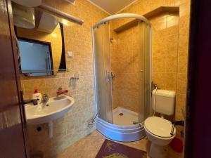 VruciVillas by Expert Vrelo Bosne的带淋浴、卫生间和盥洗盆的浴室