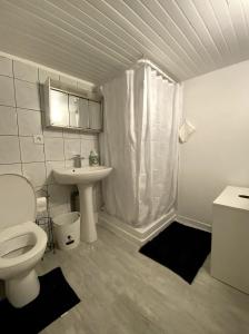 塞纳河畔卡里耶尔Appartement spacieux proche de paris的一间带卫生间和水槽的浴室