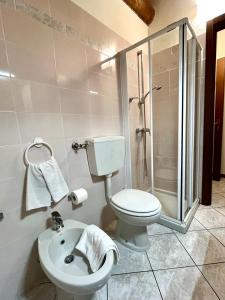 Grandola ed Uniti维奇亚克奥德利亚农家乐的浴室配有卫生间、淋浴和盥洗盆。