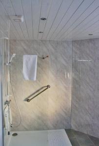 Leadhills霍普顿阿姆斯酒店的浴室里设有玻璃门淋浴