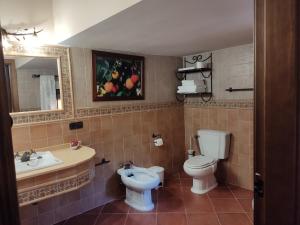 Retuerta de BullaqueEl cerro de cabañeros的浴室配有盥洗盆、卫生间和浴缸。