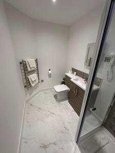 洛斯托夫特Hatfield Lodge的白色的浴室设有卫生间和水槽。