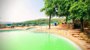 阿姆波尔Cashew leaf resort的一座带蓝色椅子和树木的大型水池