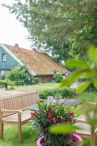 斯匹科罗格Spiekerhorst的院子内木凳和花桌