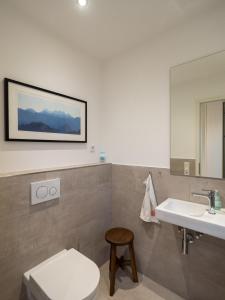 斯匹科罗格Wester Lodge的一间带卫生间和水槽的浴室