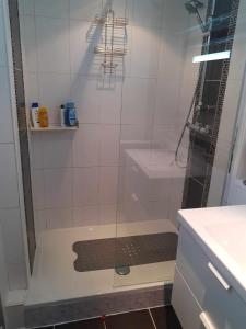 赫尔斯塔尔Agréable maison avec cour à 10min de Liège的浴室里设有玻璃门淋浴
