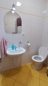 扬斯凯拉兹涅Penzion Duncan的一间带卫生间、水槽和镜子的浴室