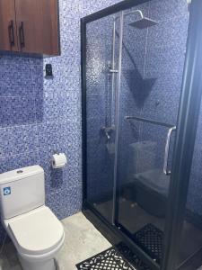 ChantanThe Vinesplash的一间带卫生间和玻璃淋浴间的浴室