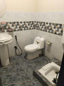 拉合尔Royal Fort Executive Hotel Gulberg的一间带卫生间和水槽的浴室