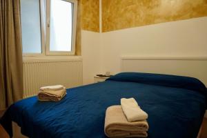 克拉约瓦Vila Alfredo的一间卧室配有蓝色的床和毛巾