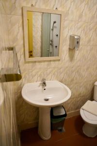 克拉约瓦Vila Alfredo的一间带水槽、镜子和卫生间的浴室