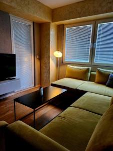斯科普里35 Luxury apartments Skopje的带沙发和咖啡桌的客厅