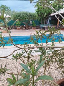 布罗托尼贾Villa Lucky的植物庭院中的游泳池