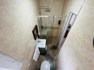 巴纽Auberge de Bagneux的带淋浴、盥洗盆和卫生间的浴室