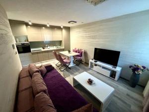 卢布尔雅那Villa Moste 1 - Freeparking&pool的带沙发和电视的客厅
