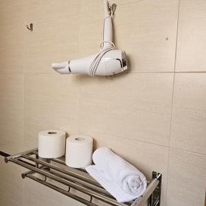 马拉加Romántico apartamento céntrico的浴室的墙上设有卫生纸分配器