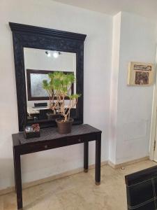 贝纳尔马德纳Apartamentos Jowi - Piso amplio y Familiar的一张桌子上装有镜子和盆栽植物
